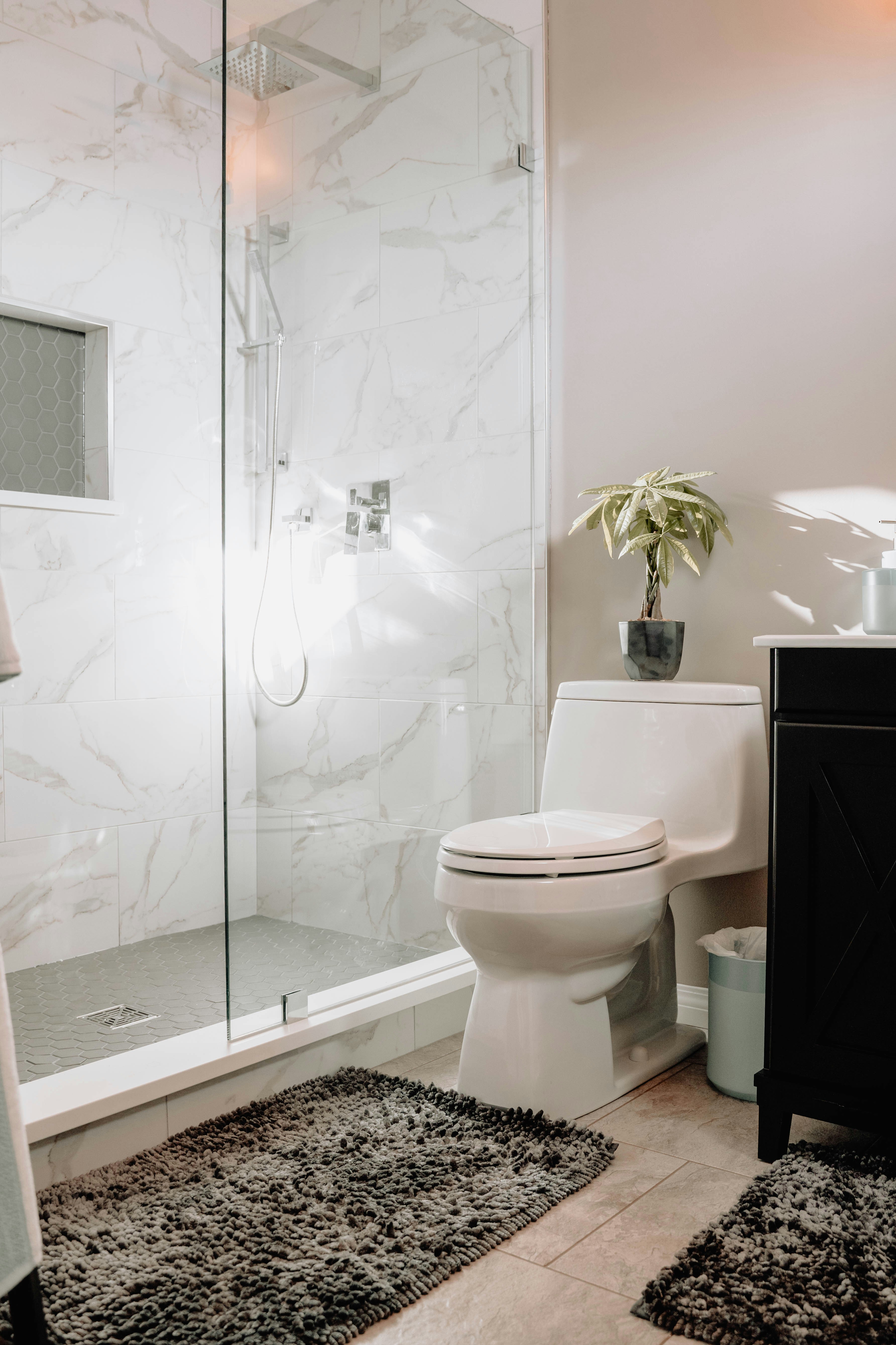 Frameless Shower 1 Frameless Shower 1